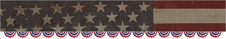 Vets flag